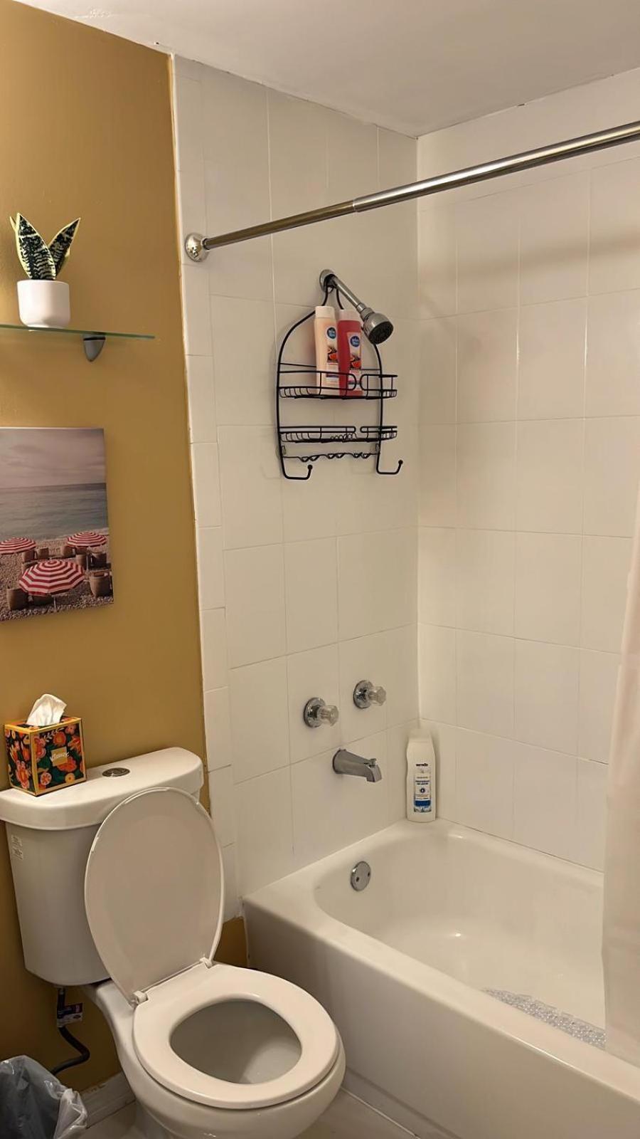 Beautiful, Fully Furnished 4Bed 2Bath House - 5 Minute Walk To Miracle Mile Downtown Coral Gables Vila Miami Exterior foto
