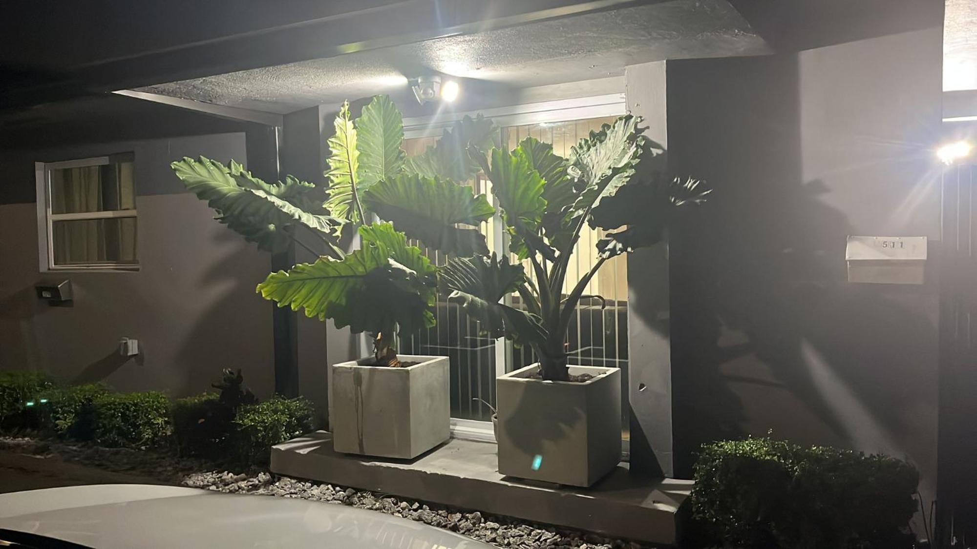 Beautiful, Fully Furnished 4Bed 2Bath House - 5 Minute Walk To Miracle Mile Downtown Coral Gables Vila Miami Exterior foto